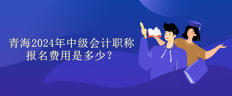 青海2024年中級(jí)會(huì)計(jì)職稱報(bào)名費(fèi)用是多少？