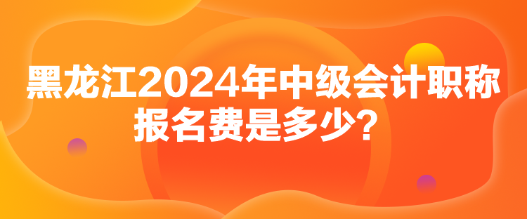 黑龍江2024年中級(jí)會(huì)計(jì)職稱報(bào)名費(fèi)是多少？