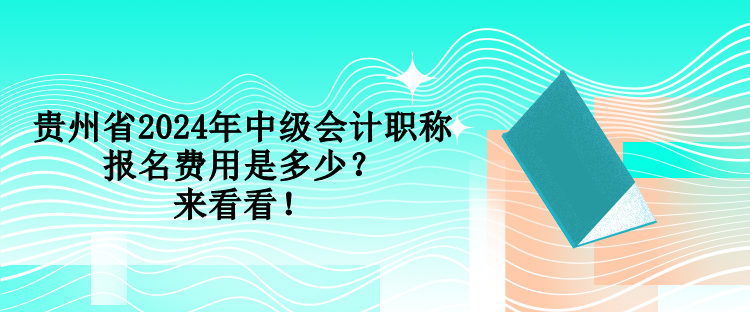 貴州省2024年中級會計(jì)職稱報名費(fèi)用是多少？來看看！