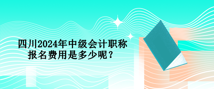 四川2024年中級(jí)會(huì)計(jì)職稱報(bào)名費(fèi)用是多少呢？