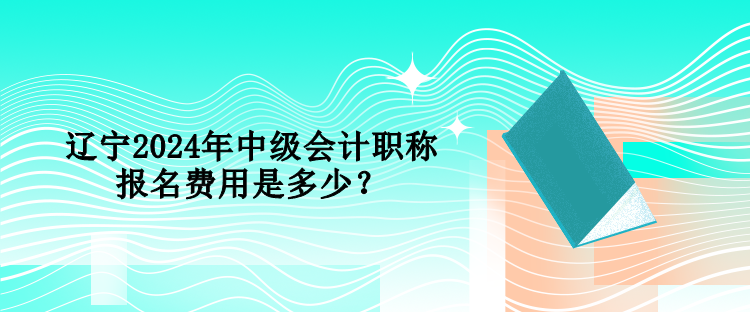 遼寧2024年中級會計職稱報名費用是多少？