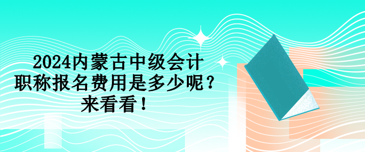 2024內(nèi)蒙古中級(jí)會(huì)計(jì)職稱(chēng)報(bào)名費(fèi)用是多少呢？來(lái)看看！