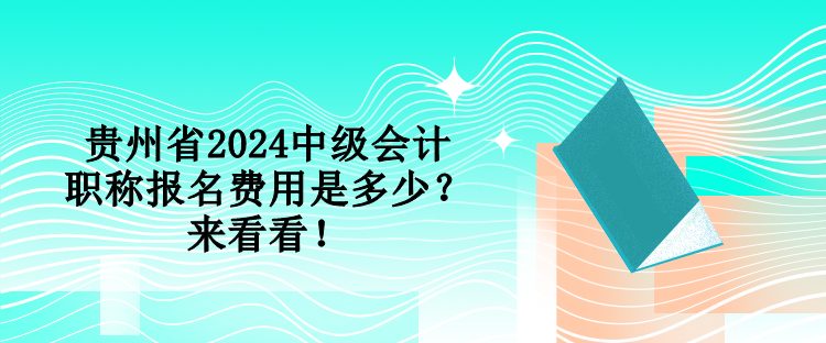 貴州省2024中級(jí)會(huì)計(jì)職稱報(bào)名費(fèi)用是多少？來(lái)看看！