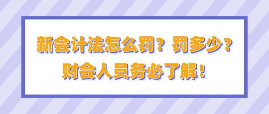 新會(huì)計(jì)法怎么罰？罰多少？財(cái)會(huì)人員務(wù)必了解！