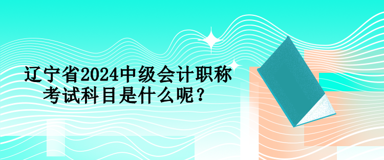 遼寧省2024中級(jí)會(huì)計(jì)職稱考試科目是什么呢？