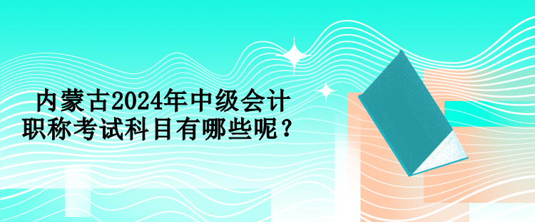 內(nèi)蒙古2024年中級(jí)會(huì)計(jì)職稱考試科目有哪些呢？