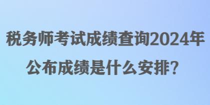 稅務(wù)師考試成績查詢2024年公布成績是什么安排？