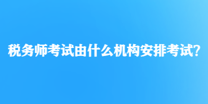 稅務師考試由什么機構安排考試？