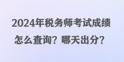 2024年稅務(wù)師考試成績怎么查詢？哪天出分？