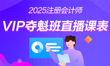 2025年注冊會(huì)計(jì)師VIP奪魁班直播課表安排